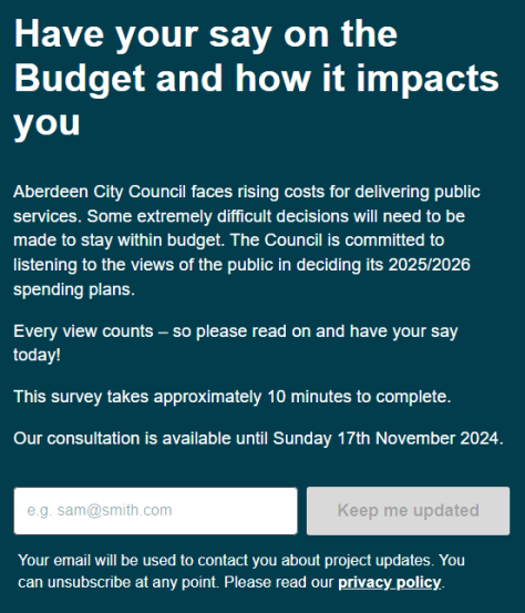 Survey Snip budget consultation